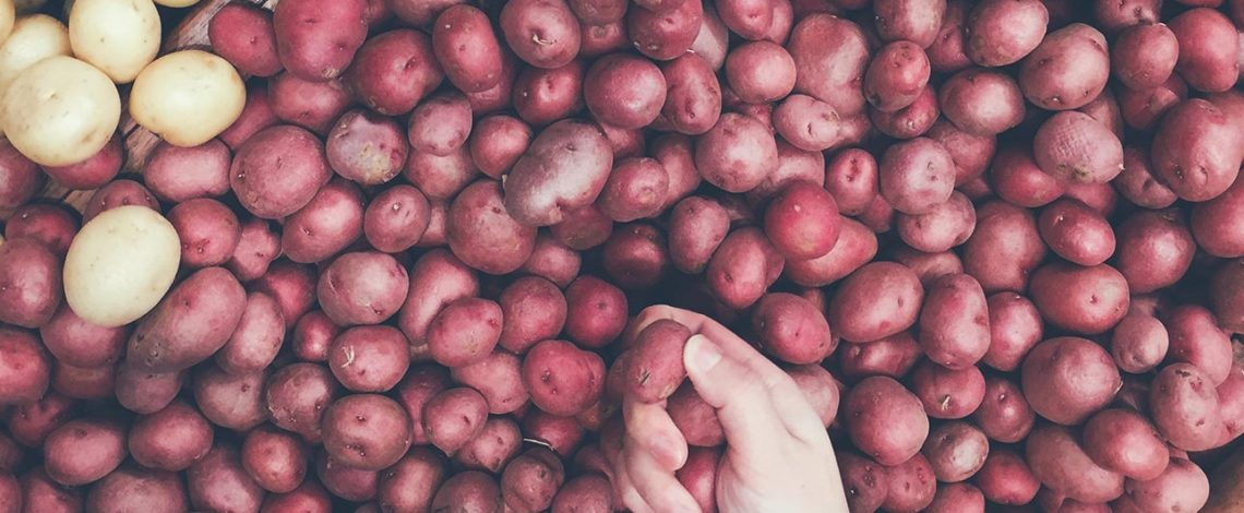 Suben en junio los precios de la papa en mercados mayoristas