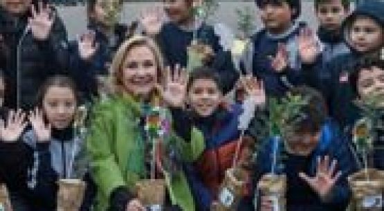 Cecilia Morel celebra el Día Mundial del Árbol: Se entregarán cerca de cinco millones en cuatro años