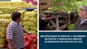 Boletín Diario de precios y volúmenes de frutas y hortalizas