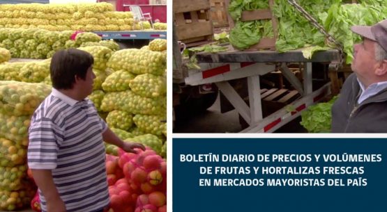 Boletín diario de precios y volúmenes de frutas y hortalizas en mercados mayoristas
