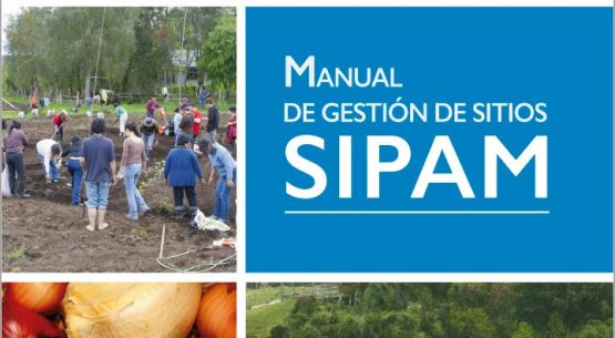 Manual de Gestión de Sitios SIPAM