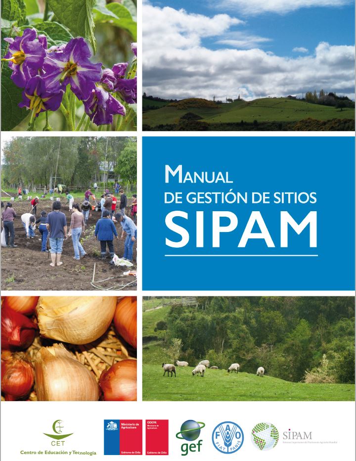 Manual Sipam