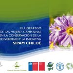Sipam y mujeres de Chiloé