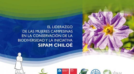 El liderazgo de las mujeres campesinas en la conservación de la biodiversidad: SIPAM Chiloé