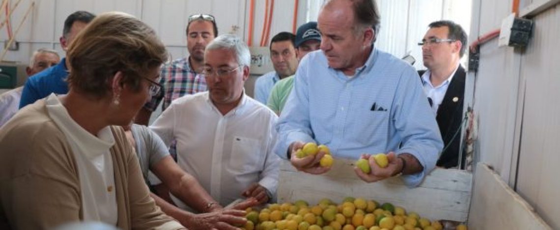 Ministro de Agricultura, Antonio Walker: “Estamos complicados porque hemos tenido una pluviometría muy baja este invierno”