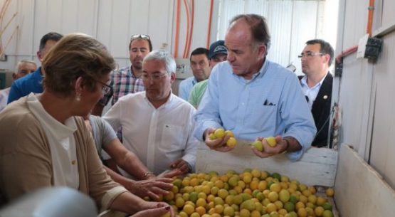 Ministro de Agricultura, Antonio Walker: “Estamos complicados porque hemos tenido una pluviometría muy baja este invierno”