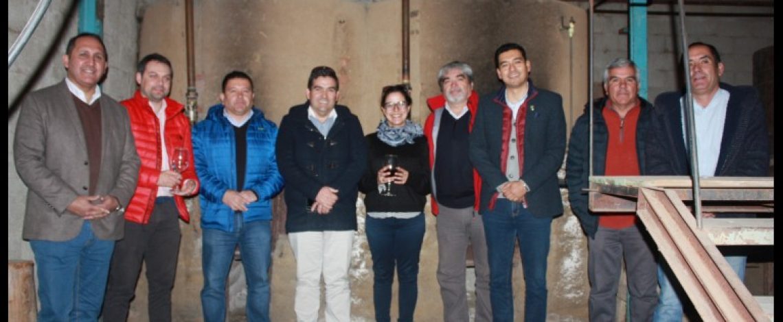 Directores del agro buscan alternativas de apoyo para productores de uva pisquera de Rapel