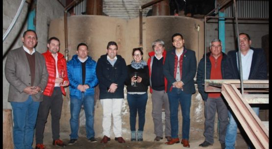 Directores del agro buscan alternativas de apoyo para productores de uva pisquera de Rapel