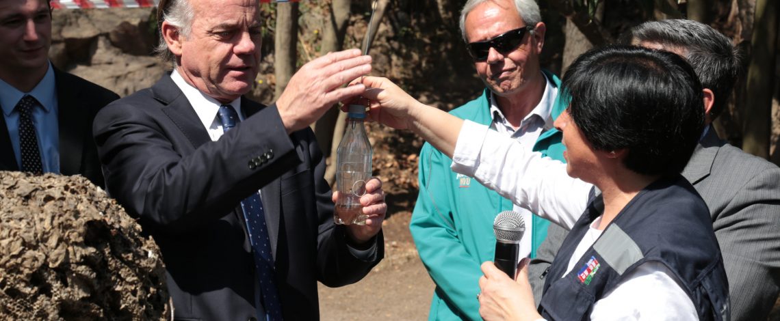 Ministro Walker invita a participar en campaña “¡Avíspate, atrapa a la reina chaqueta amarilla!”