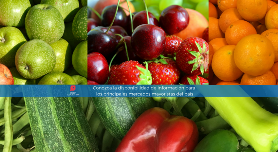 Odepa elabora video sobre consulta diaria de precios mayoristas de frutas y hortalizas