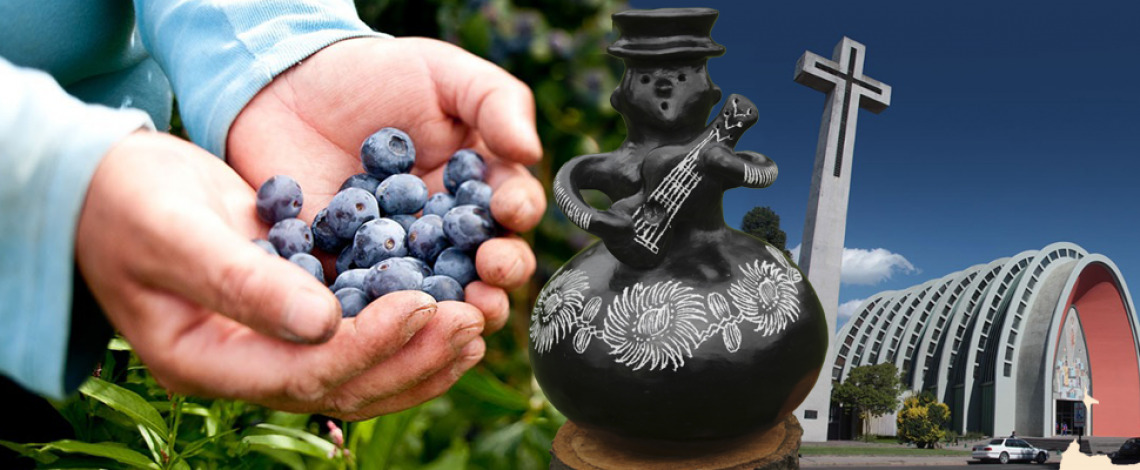 Odepa prepara información sobre la Región de Ñuble