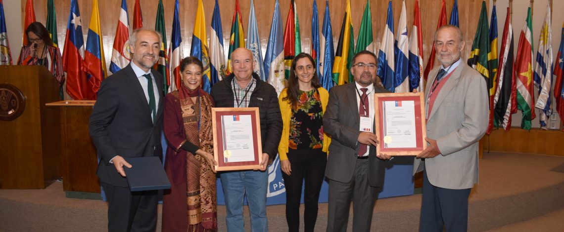 Directora de Odepa participó en seminario en que Inapi otorgó la Denominación de Origen al Aceite de Oliva del Huasco.