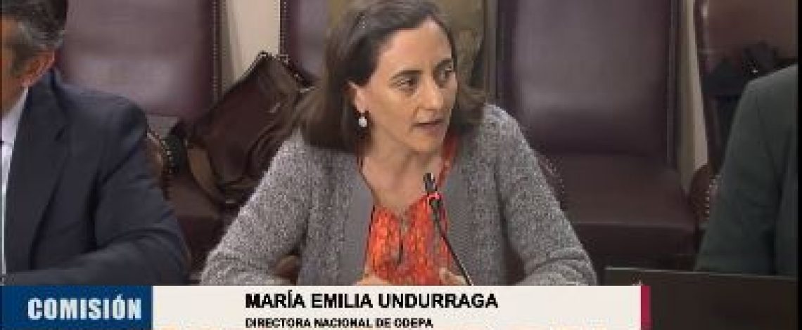 En la Cámara de Diputados, la directora de Odepa realizó una presentación sobre las políticas destinadas a potenciar el desarrollo rural