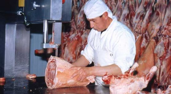 Estudio para la caracterización de la faena de animales y de los canales de comercialización de la carne bovina en los países del MERCOSUR