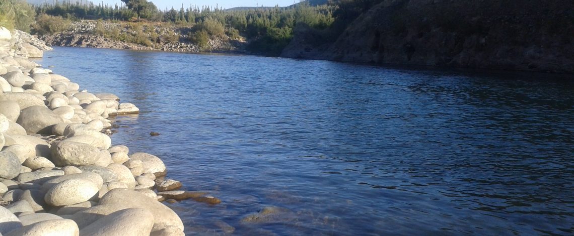 Panorama silvoagropecuario de la Región del Ñuble