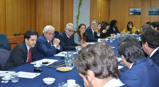 Se reunió el Consejo asesor del ministro de Agricultura para la protección, promoción y desarrollo de la denominación de origen pisco