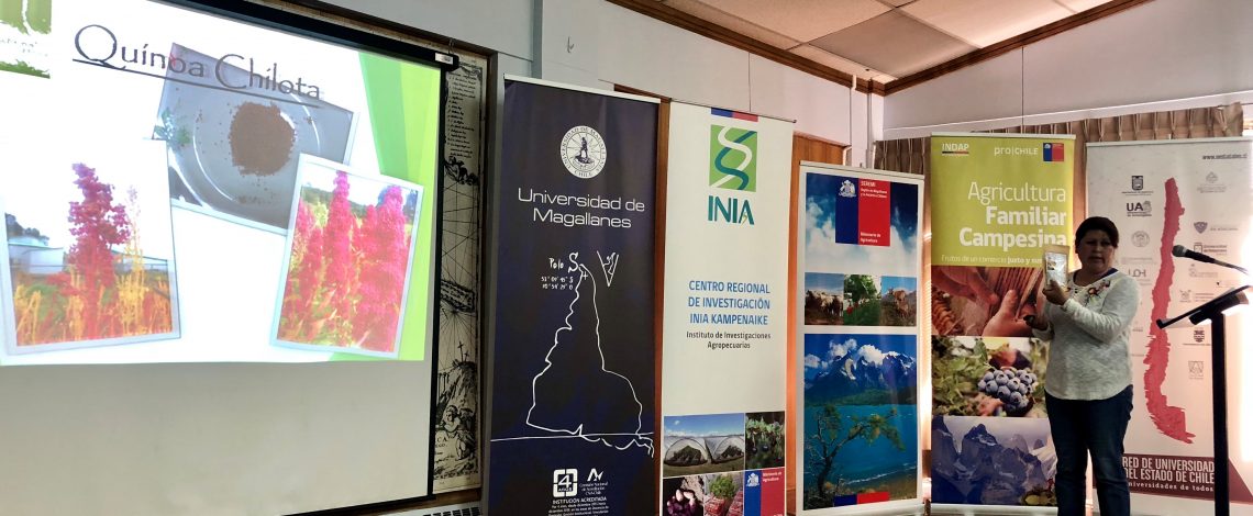 Odepa expuso en el seminario: “Agricultura Sostenible: Oportunidad de diferenciación para la Región de Magallanes y de la Antártica Chilena”