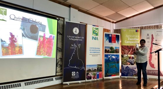 Odepa expuso en el seminario: “Agricultura Sostenible: Oportunidad de diferenciación para la Región de Magallanes y de la Antártica Chilena”