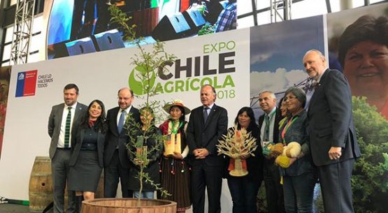 Se inauguró Expo Chile Agrícola 2018, el gran encuentro del agro