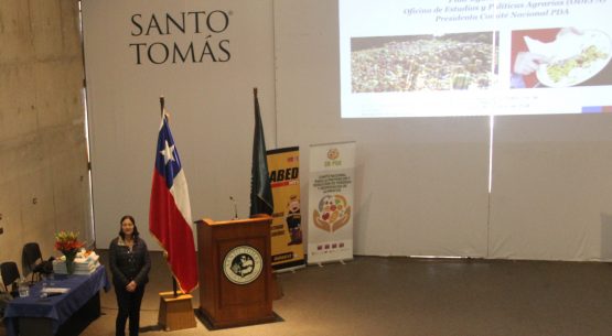 Odepa realizó una presentación en seminario sobre: “Pérdida y desperdicio de alimentos: definición, alcance y repercusiones”