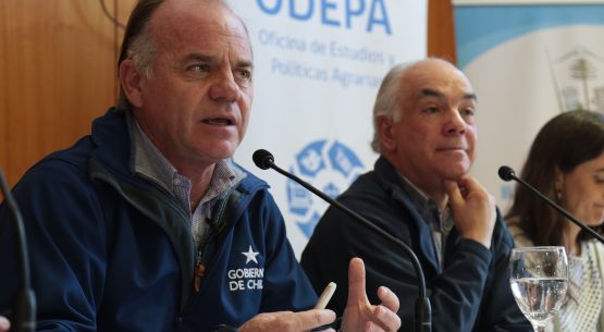 Ministro Walker: “Estamos evaluando los daños y vamos a estar al lado de los agricultores”