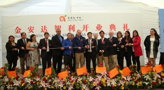 Ministro Walker destaca inversión extranjera en región del Maule y señala mejor escenario sectorial tras complejo inicio de año