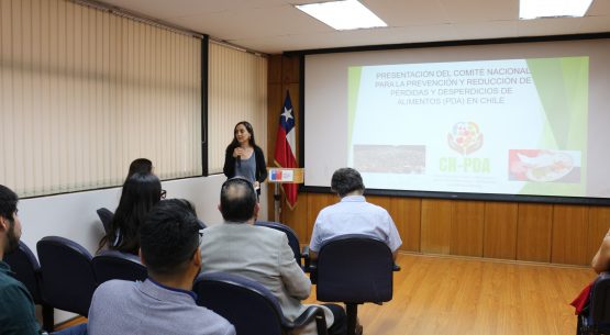 Liderado por la directora de Odepa se reunió el Comité Nacional para la Prevención y Reducción de Pérdidas y Desperdicios de Alimentos