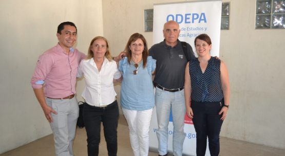 Profesionales de Odepa participaron en seminario: Innovación y sustentabilidad para el sector arrocero