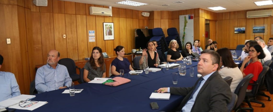 Directora de Odepa lideró la primera reunión ministerial sobre la Agenda 2030 de Desarrollo Sostenible