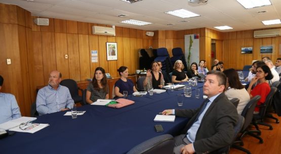 Directora de Odepa lideró la primera reunión ministerial sobre la Agenda 2030 de Desarrollo Sostenible