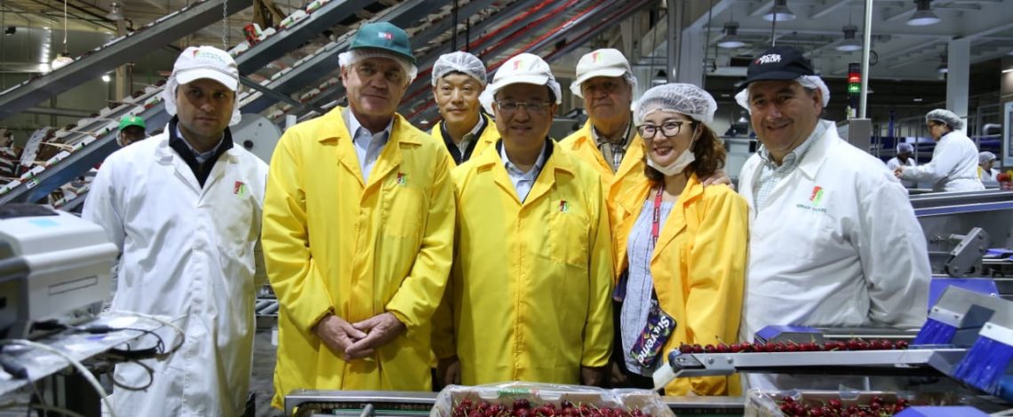 Ministro Walker junto al Ministro de Aduanas chino visitan empresas agroexportadoras: “Nos ganamos la confianza y ahora lo que resta es responder con nuestros productos a esa confianza”