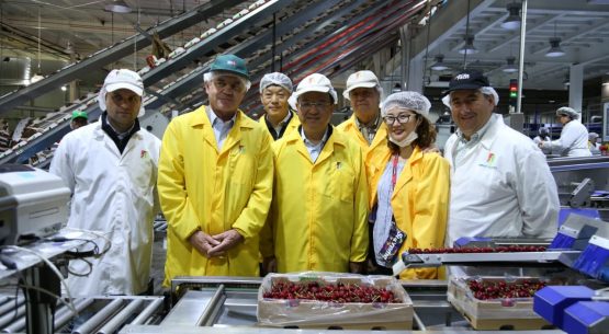 Ministro Walker junto al Ministro de Aduanas chino visitan empresas agroexportadoras: “Nos ganamos la confianza y ahora lo que resta es responder con nuestros productos a esa confianza”