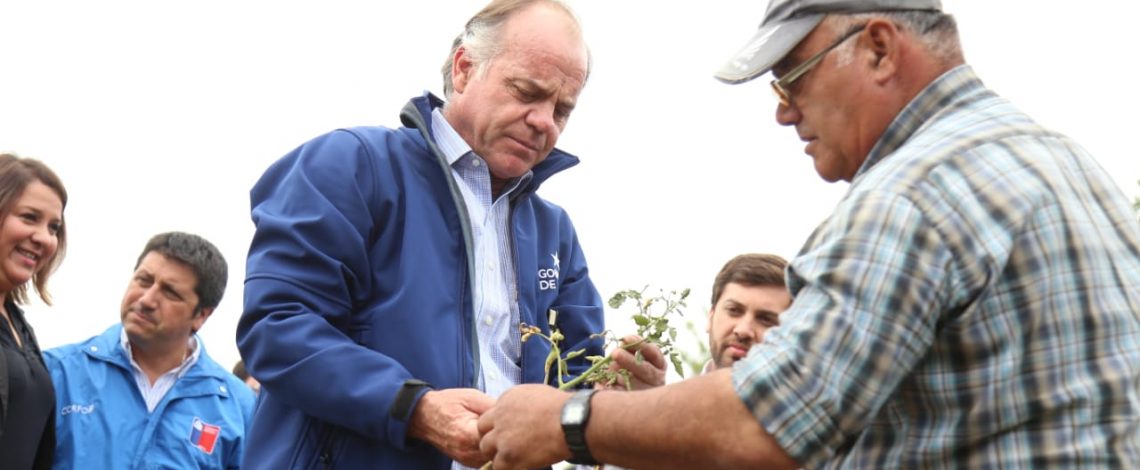 Ministro Antonio Walker decreta zona de emergencia agrícola 10 comunas de la región de O’Higgins