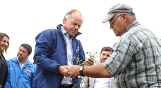 Ministro Antonio Walker decreta zona de emergencia agrícola 10 comunas de la región de O’Higgins
