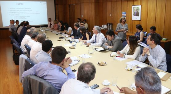 Se reunió la Comisión Nacional de Trigo, encabezada por el ministro de Agricultura y coordinada por la directora de Odepa