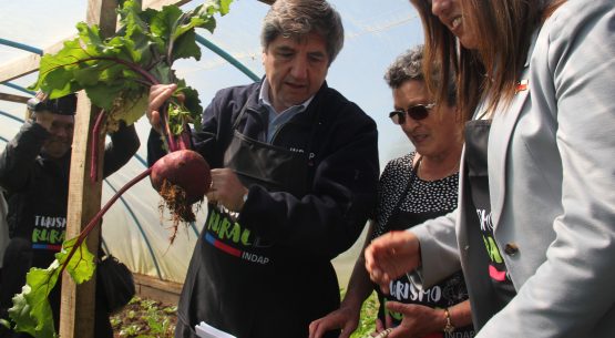 Viva el campo: emprendedores lanzan temporada de turismo rural junto a Indap