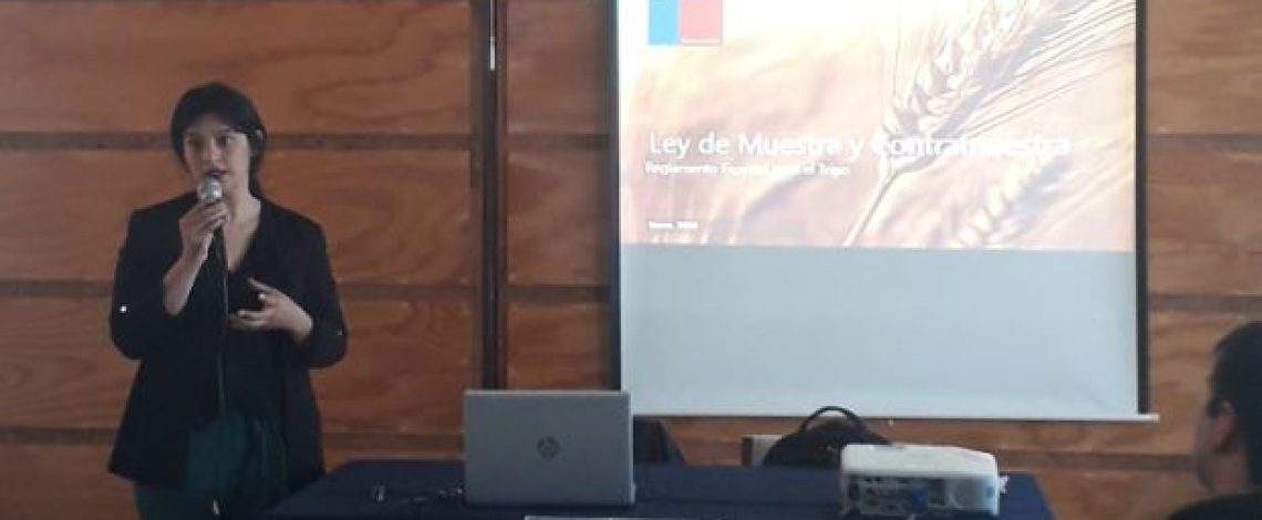 Profesional de Odepa expuso en la “Jornada Charlas Mercado del Trigo Temporada 2018/2019”.