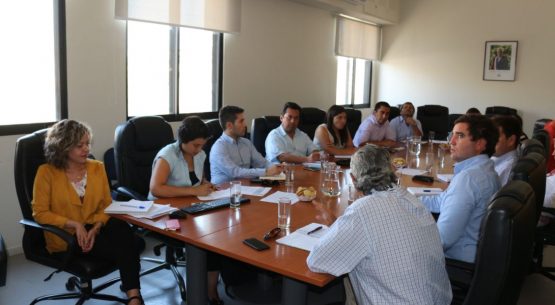 Liderado por Odepa, se reunió el Comité del Reglamento del Maíz