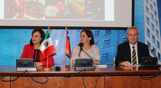 Directora de Odepa inaugura actividad de cierre del proyecto de Cooperación Fondo México-Chile