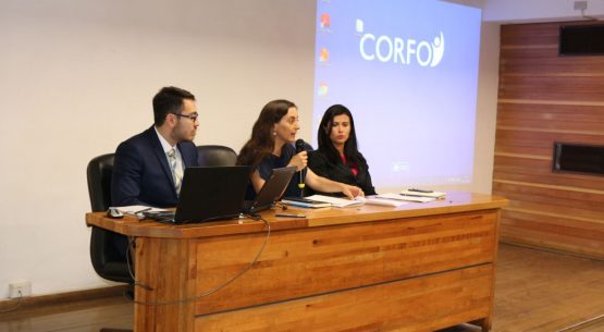 Se realizó seminario sobre Reportes de Sostenibilidad: Experiencias en el Sector Agrícola Chileno