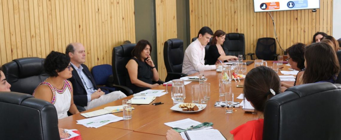 Primera reunión del Comité Asesor Estratégico del Programa de Sostenibilidad para el Sector Agroalimentario Chileno