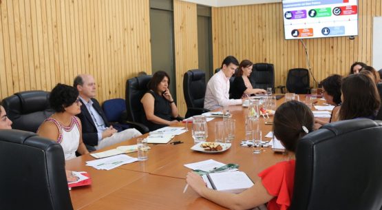 Primera reunión del Comité Asesor Estratégico del Programa de Sostenibilidad para el Sector Agroalimentario Chileno