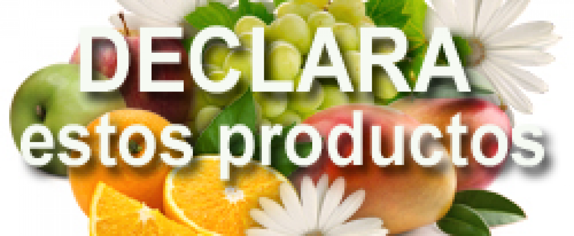 Cuando regreses a Chile no traigas productos de riesgo (SAG)