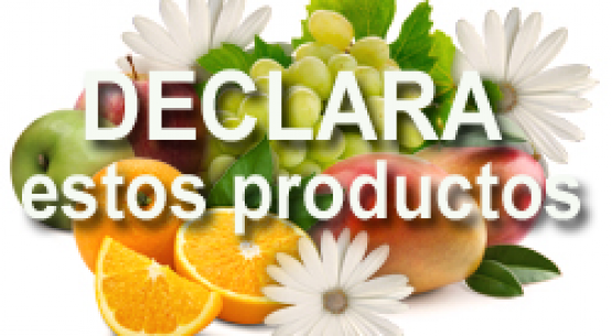 Cuando regreses a Chile no traigas productos de riesgo (SAG)