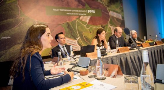 Directora de Odepa expuso en la Reunión de la Asociación Política sobre Seguridad Alimentaria de la APEC