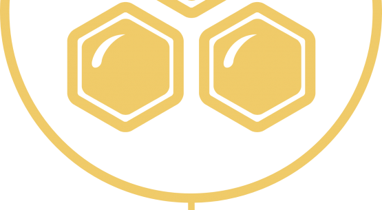 Mesas Regionales Apícolas