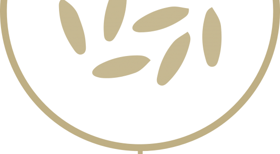 Comisión Nacional del Arroz