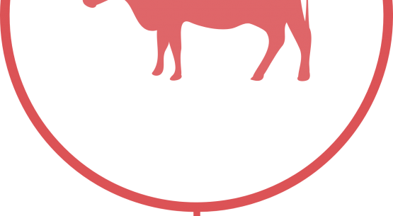 Comisión Nacional de la Carne Bovina