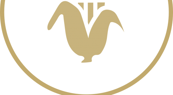 Comisión Nacional del Maíz