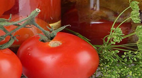 Caracterización económica de la cadena agroalimentaria del tomate de uso industrial. Diciembre 2018